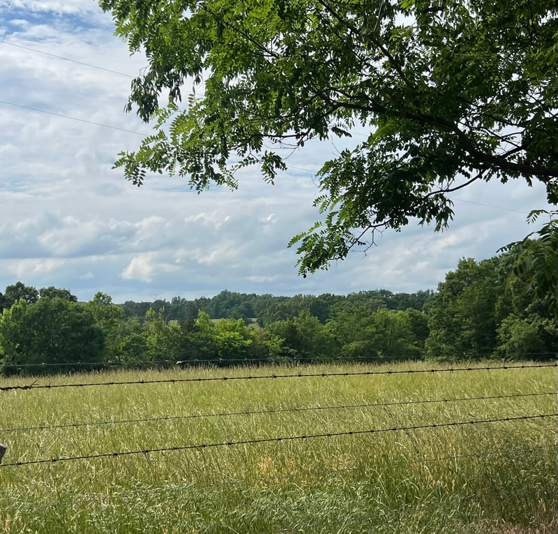 0 W George Durham Rd Lot 1, Westmoreland, TN 37186