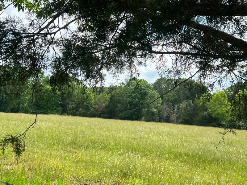 0 W George Durham Rd Lot 1, Westmoreland, TN 37186