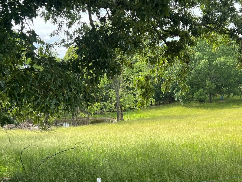 0 W George Durham Rd Lot 1, Westmoreland, TN 37186