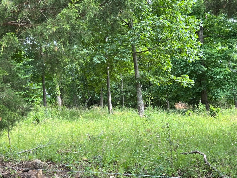 0 Bosham Rd Lot 3, Westmoreland, TN 37186