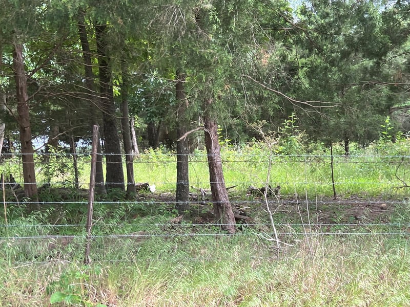 0 Bosham Rd Lot 3, Westmoreland, TN 37186