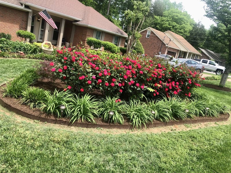 573 Highpoint Dr, Smyrna, TN 37167