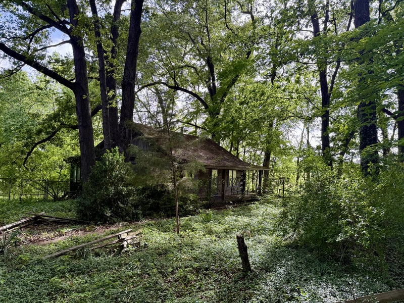 100 Dowlen Ln, Chapmansboro, TN 37035