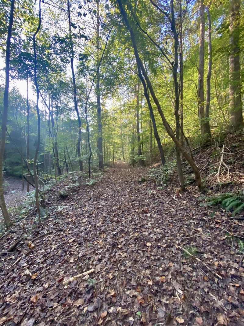 8552 Cub Creek Rd Lot 2, Nashville, TN 37209