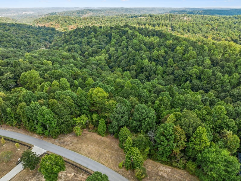 Gibbs Rd Lot 1, Ashland City, TN 37015