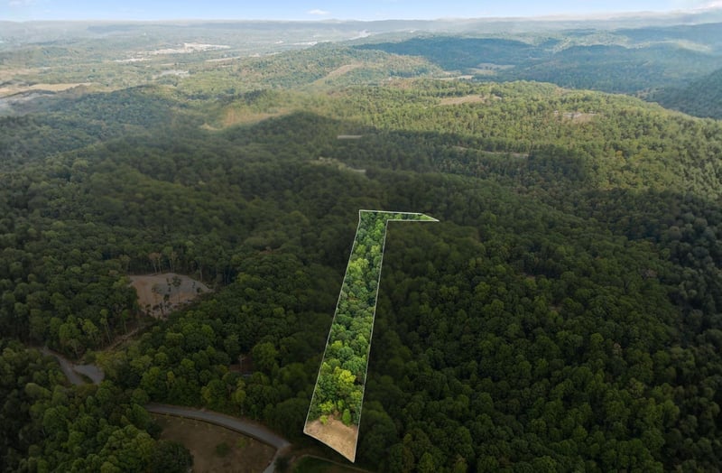 Gibbs Rd Lot 1, Ashland City, TN 37015