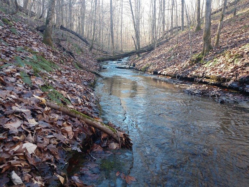 Gibbs Rd Lot 1, Ashland City, TN 37015