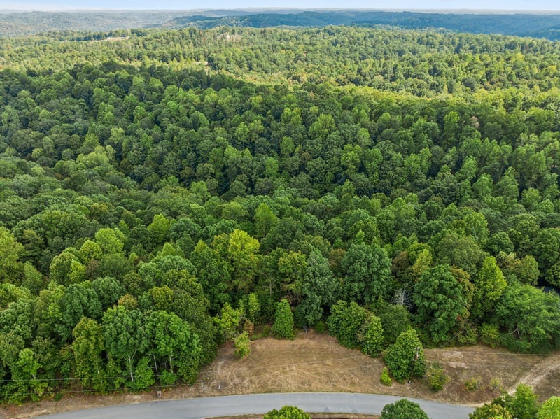 Gibbs Rd Lot 1, Ashland City, TN 37015