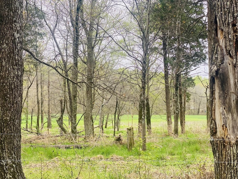 Thomasville Rd, Chapmansboro, TN 37035