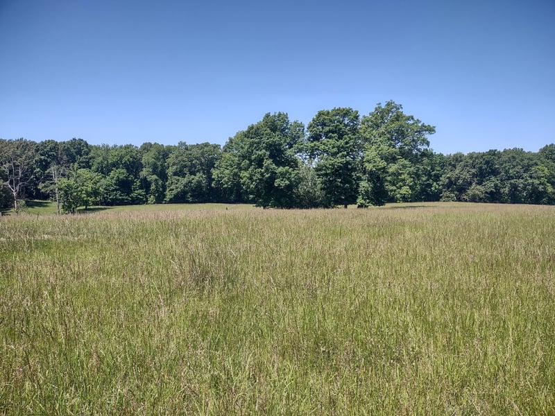 3 Valley Rd, Springfield, TN 37172
