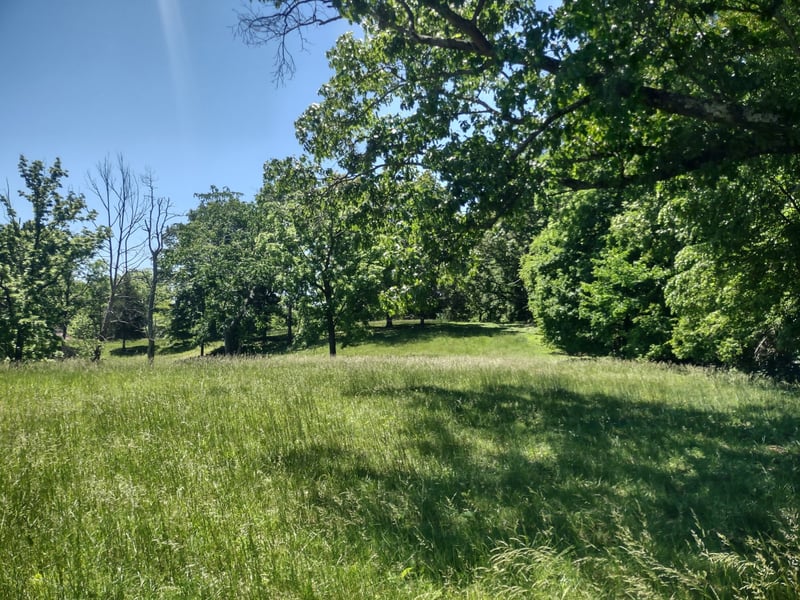 3 Valley Rd, Springfield, TN 37172