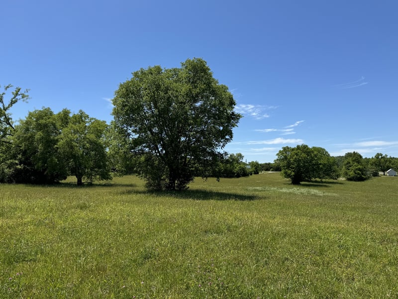 Oak Grove Rd, Lebanon, TN 37090