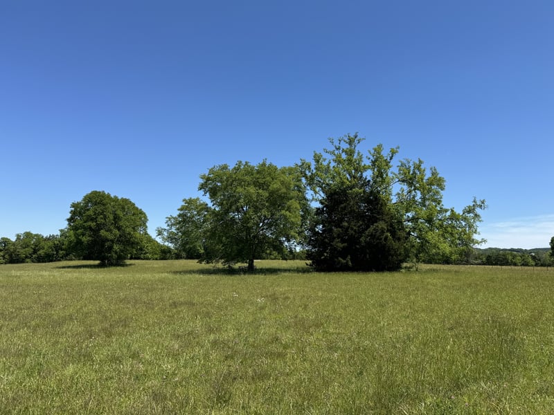 Oak Grove Rd, Lebanon, TN 37090