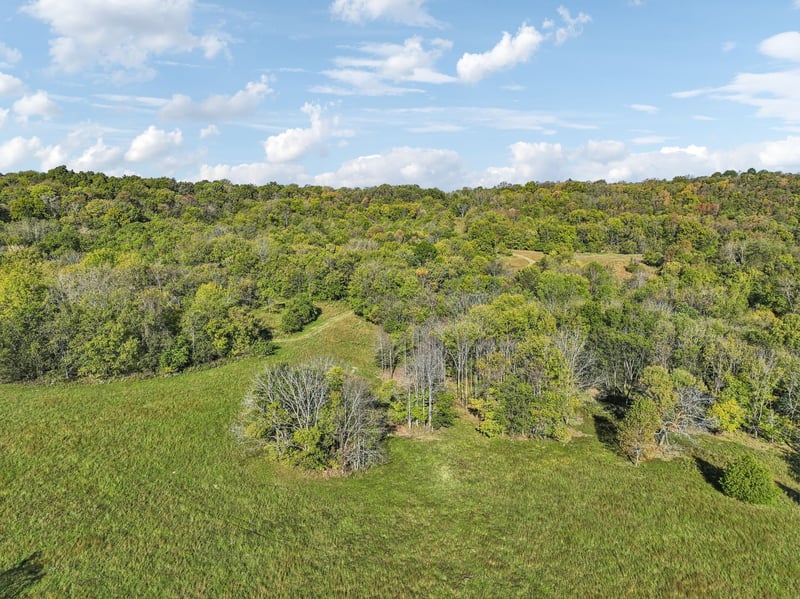 Howell Rd, Mount Pleasant, TN 38474