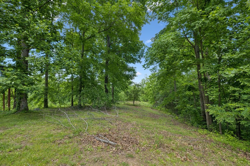 4754 Ridgetop Rd, Hampshire, TN 38461