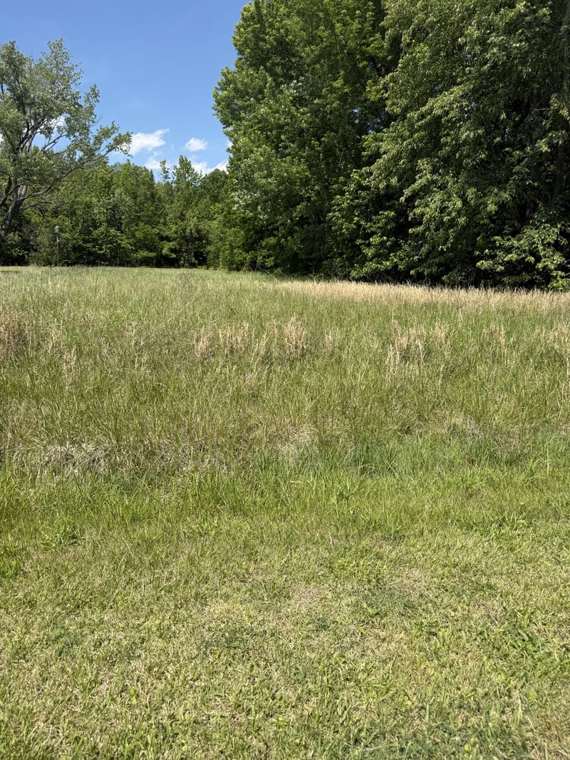 Dawn Dr Lot 63, Cedar Hill, TN 37032