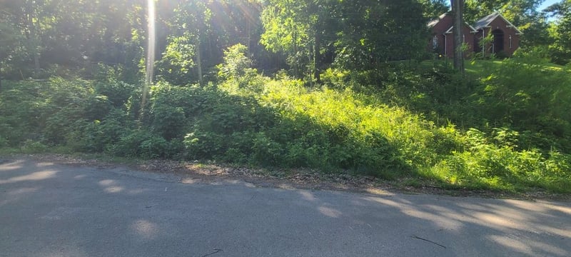 4180 Creek Trail Dr, Whites Creek, TN 37189