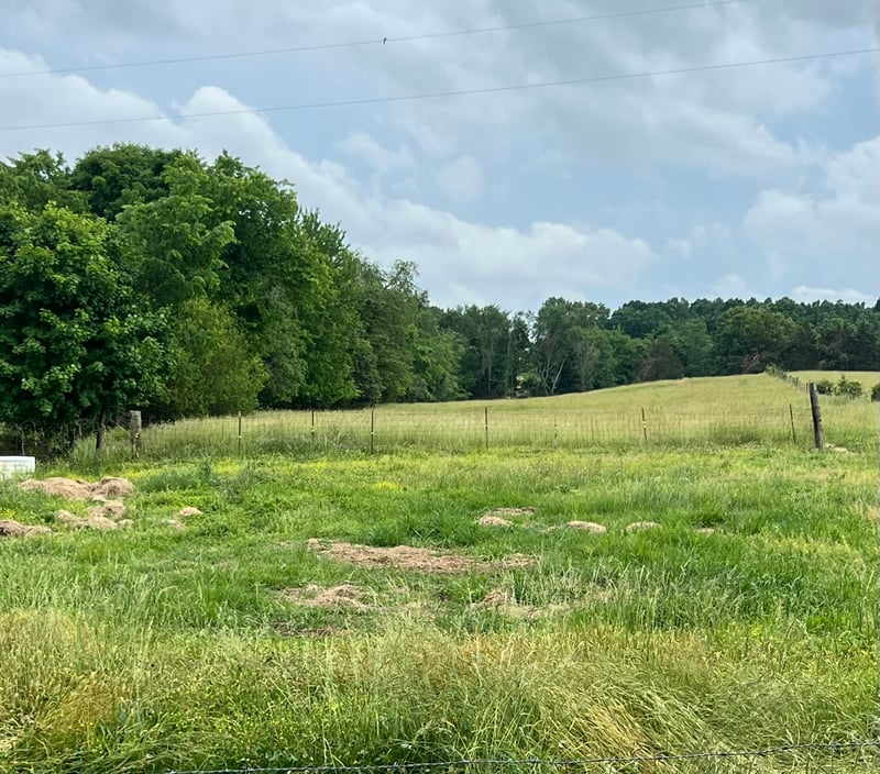 Bosham Rd, Westmoreland, TN 37186