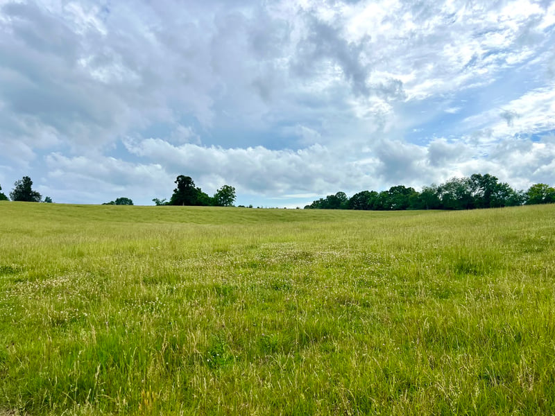 0 Bosham Rd Lot 5, Westmoreland, TN 37186
