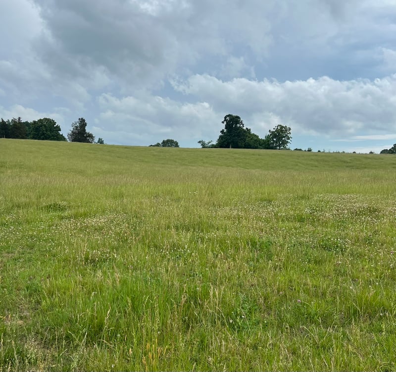 0 Bosham Rd Lot 5, Westmoreland, TN 37186