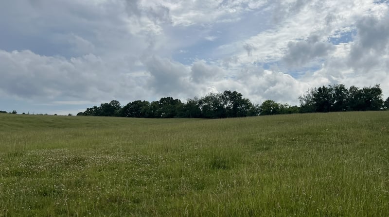 0 Bosham Rd Lot 5, Westmoreland, TN 37186