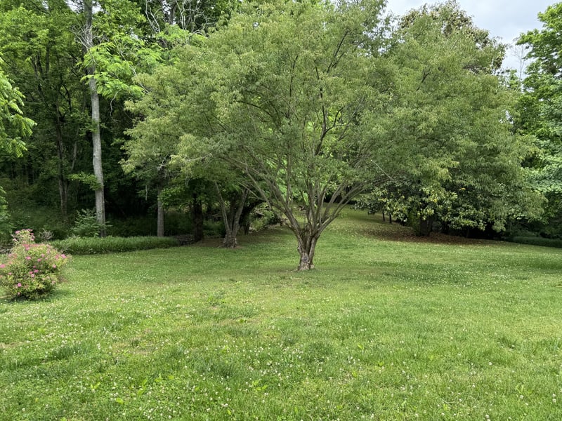 129 Oakland Dr, Gallatin, TN 37066