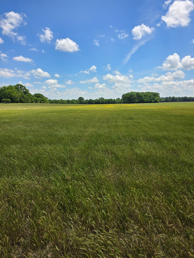 Shoemaker Rd, Eagleville, TN 37060