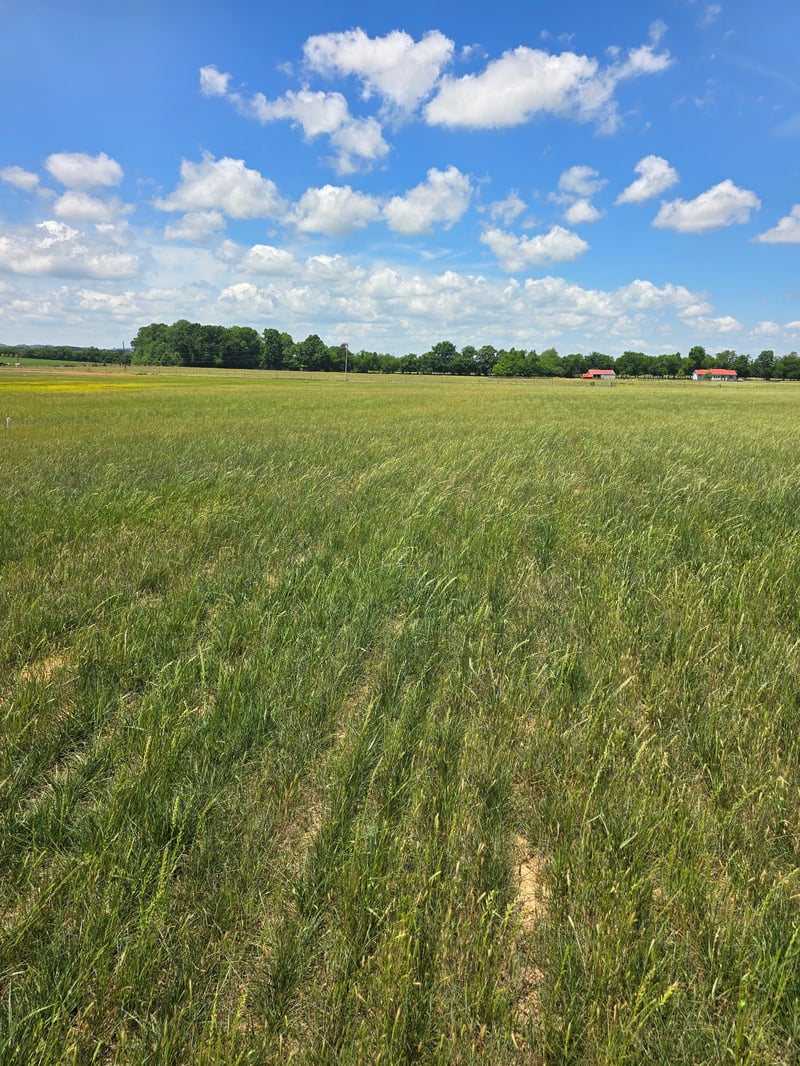 Shoemaker Rd, Eagleville, TN 37060