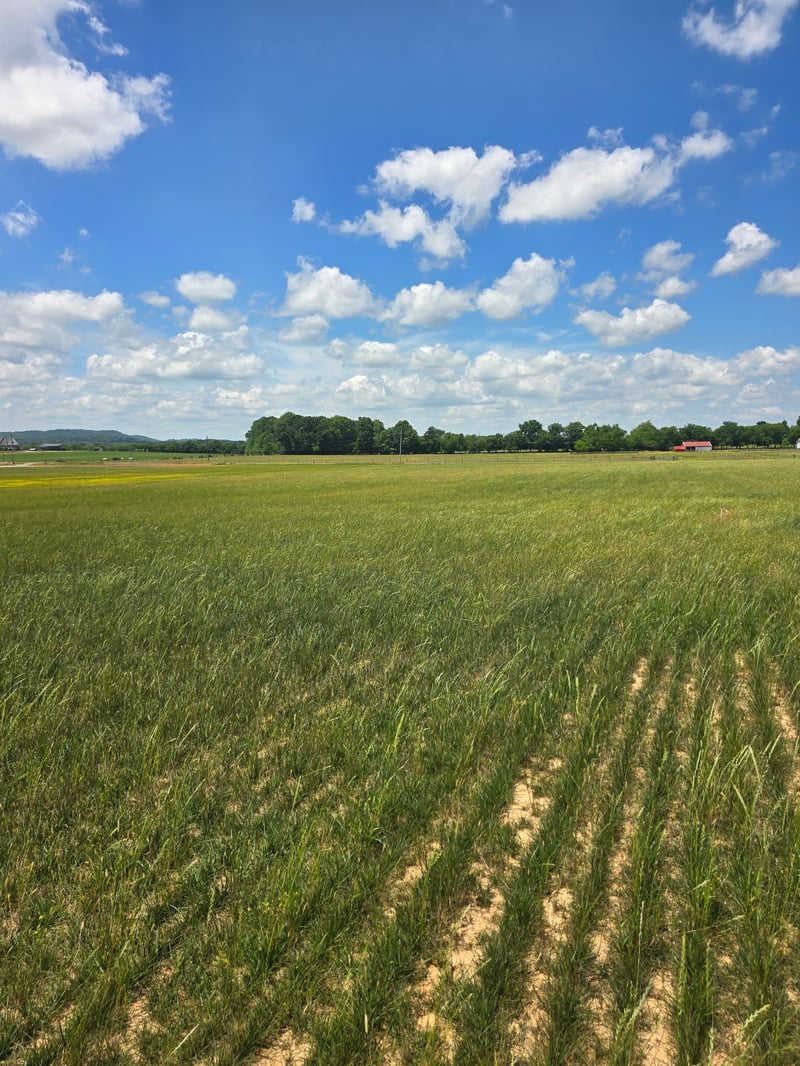 Shoemaker Rd, Eagleville, TN 37060