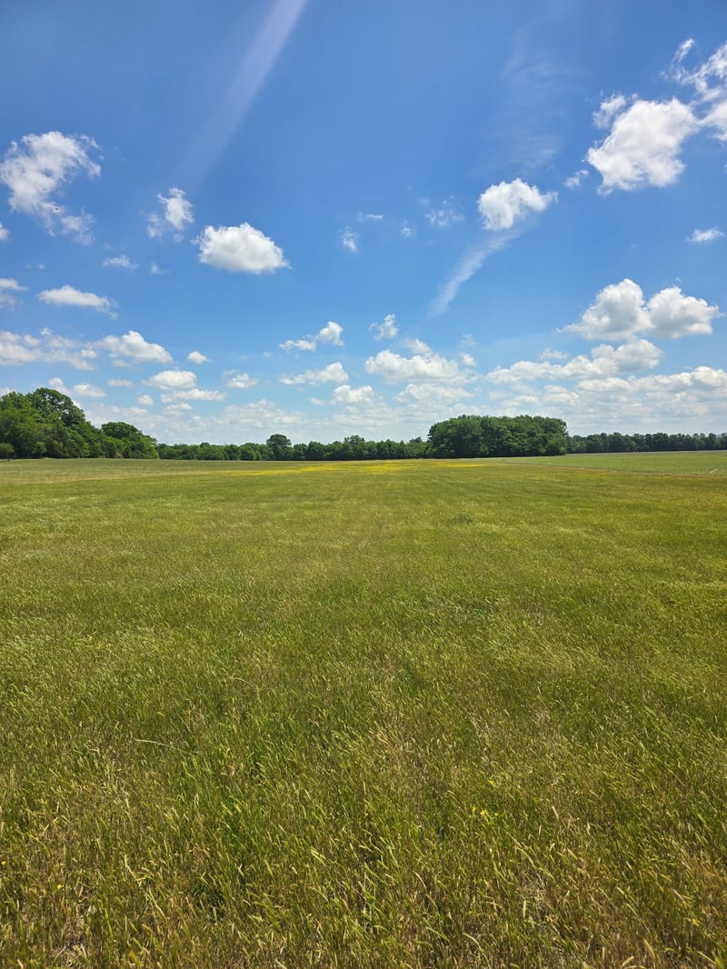 Shoemaker Rd, Eagleville, TN 37060