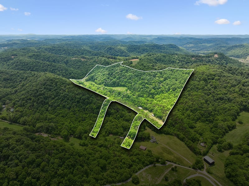 34 Friendship Hollow Rd, Pleasant Shade, TN 37145