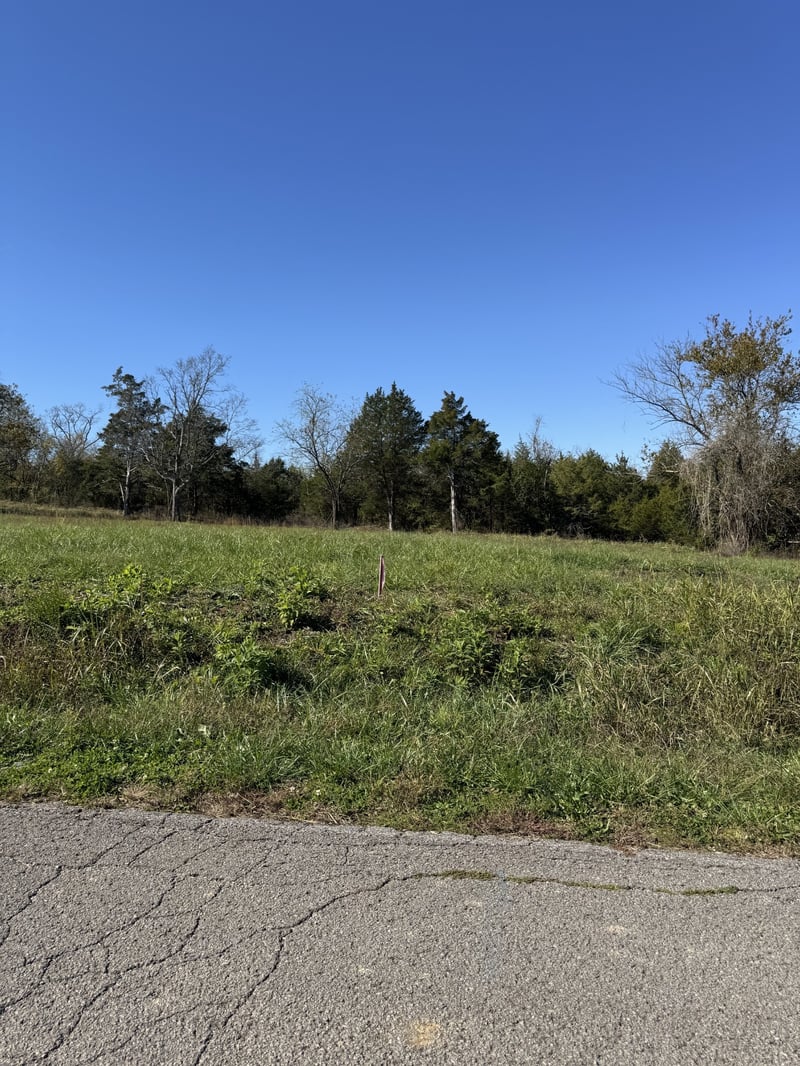 1551 E Stewarts Ln, Nashville, TN 37218