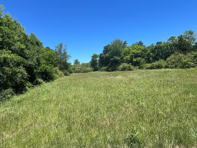 Dejarnette Ln, Murfreesboro, TN 37130