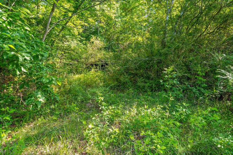 1010 Saddle Tree Rd, Ashland City, TN 37015