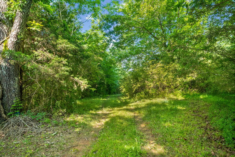 1010 Saddle Tree Rd, Ashland City, TN 37015
