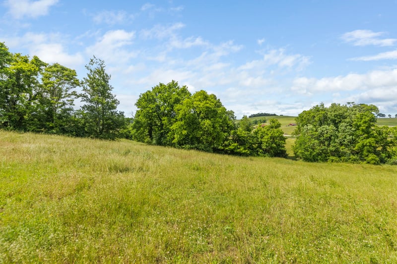 Darks Mill Rd, Columbia, TN 38401