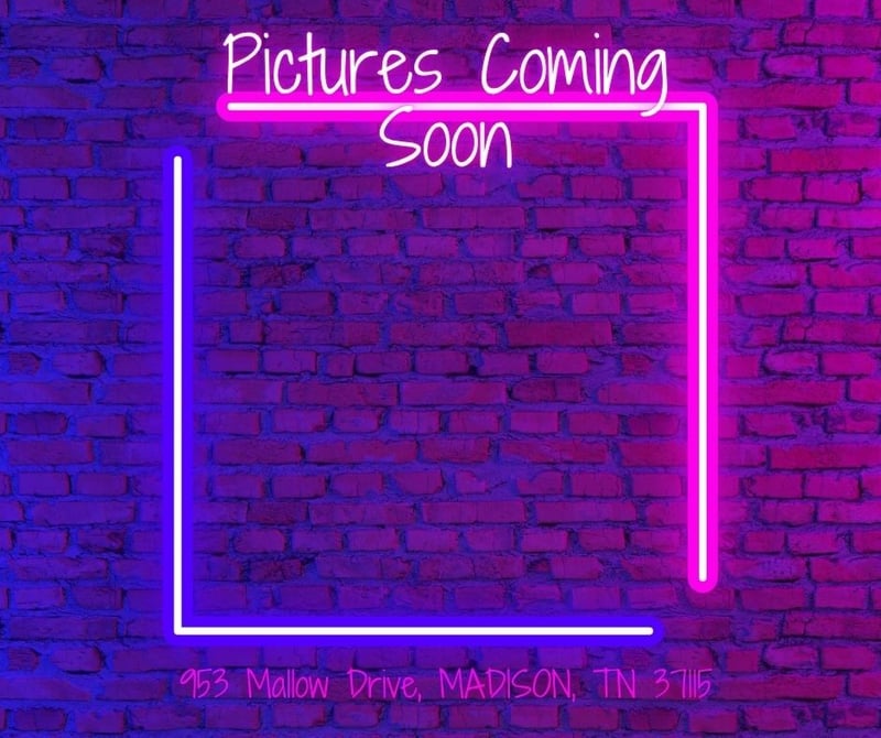 953 Mallow Dr, Madison, TN 37115