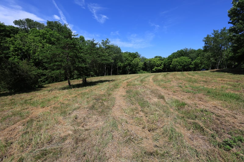 5 Poplar Ridge Ln, Chapmansboro, TN 37035