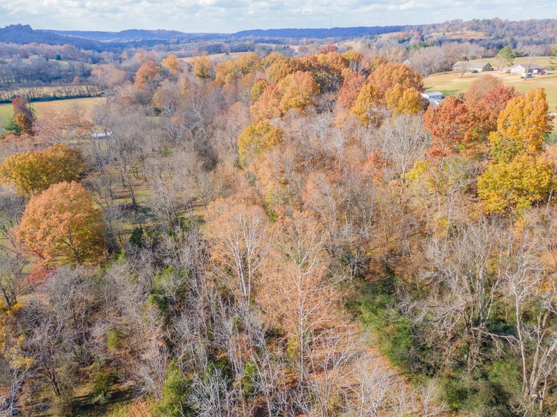 Arkland Dr, Williamsport, TN 38487