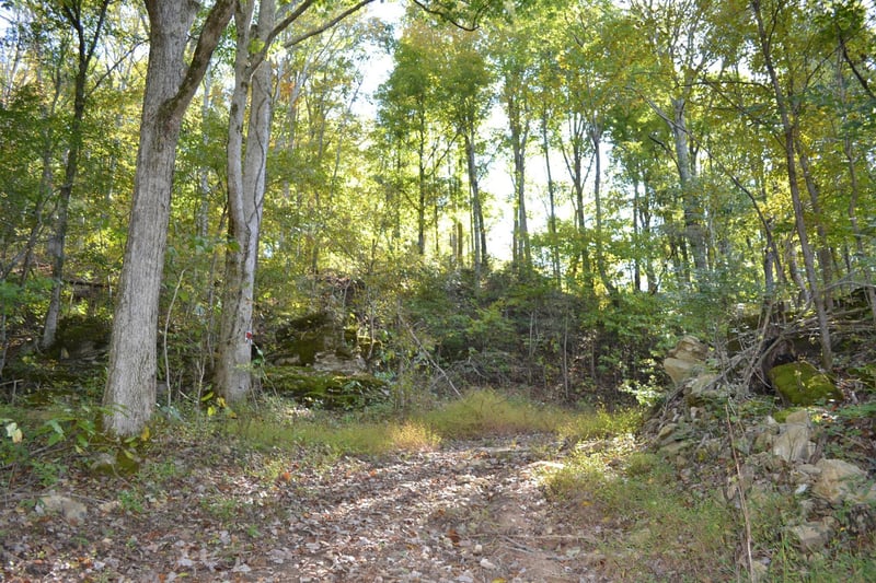 3316 Patton Branch Rd, Goodlettsville, TN 37072
