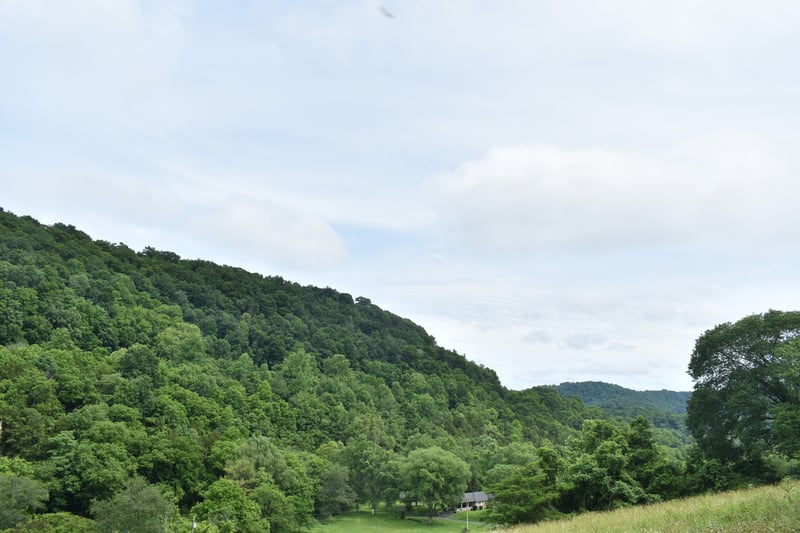 0 Pleasant Shade Hwy Lot 17, Pleasant Shade, TN 37145