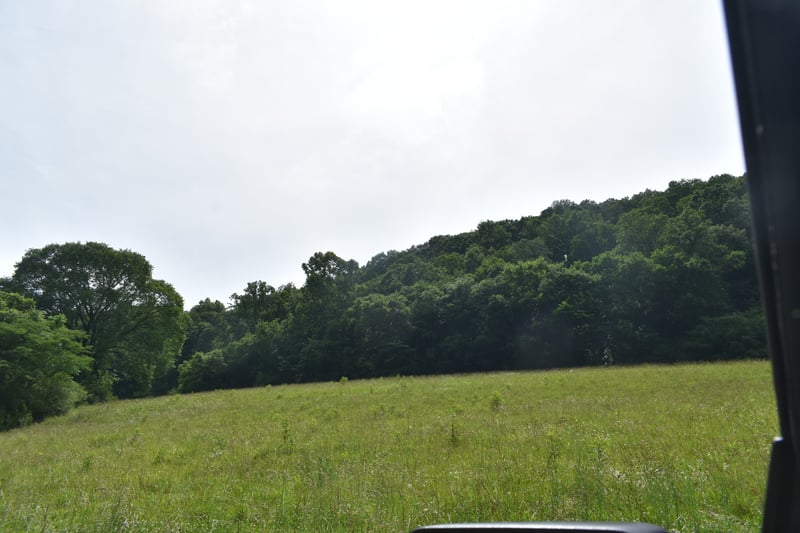 0 Pleasant Shade Hwy Lot 17, Pleasant Shade, TN 37145