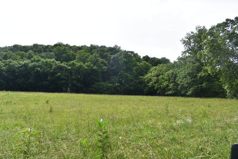 0 Pleasant Shade Hwy Lot 18, Pleasant Shade, TN 37145