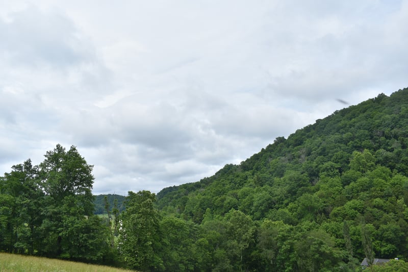 0 Pleasant Shade Hwy Lot 18, Pleasant Shade, TN 37145