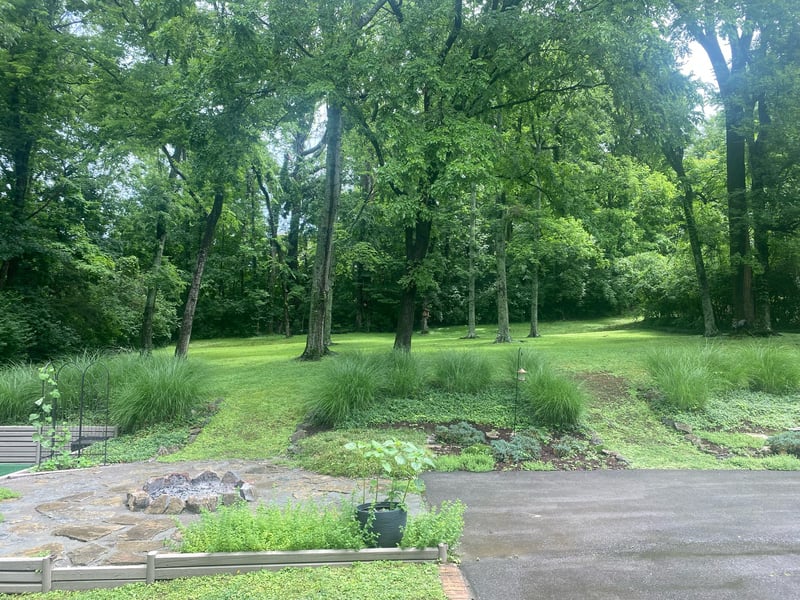 330 Forrest Valley Dr, Nashville, TN 37209