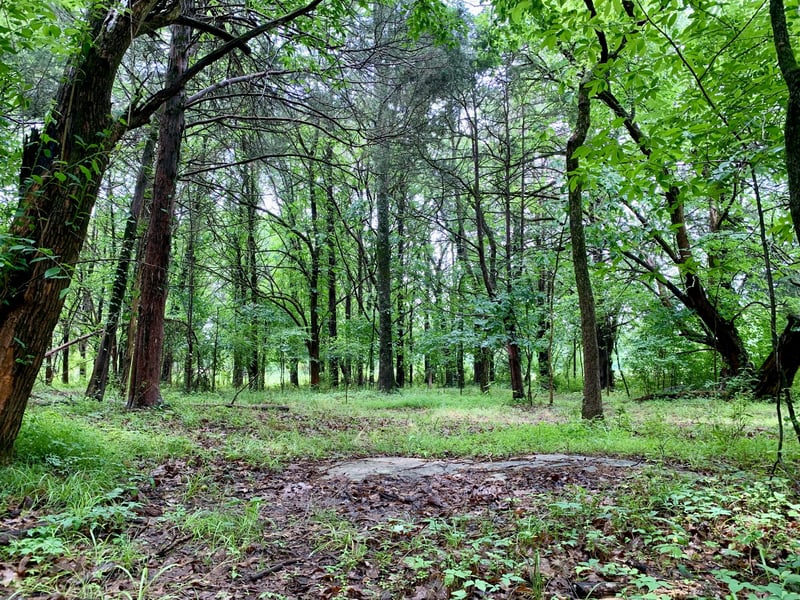 1 Rucker Rd, Christiana, TN 37037
