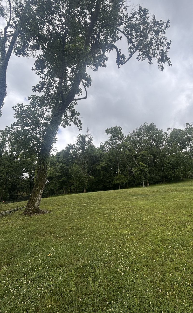 269 Rock Cress Rd, Nolensville, TN 37135