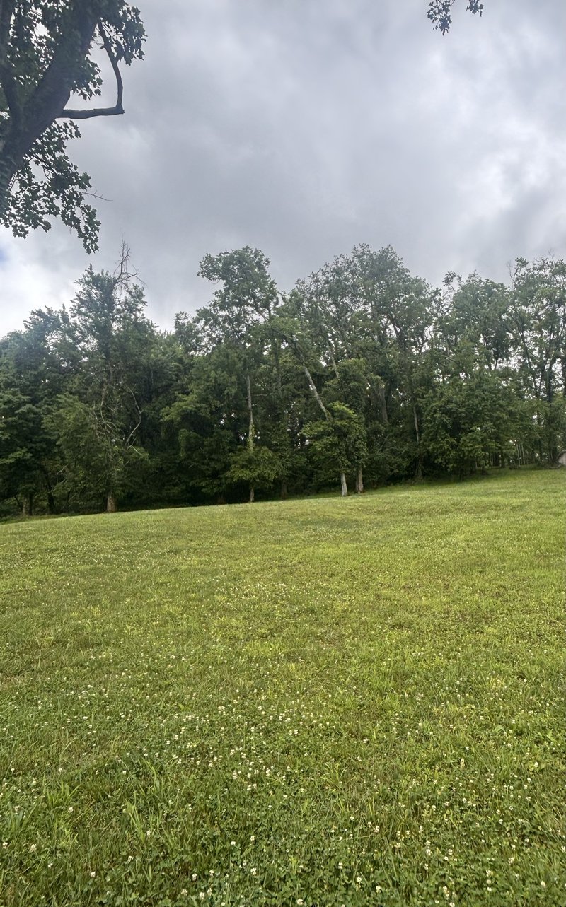 269 Rock Cress Rd, Nolensville, TN 37135