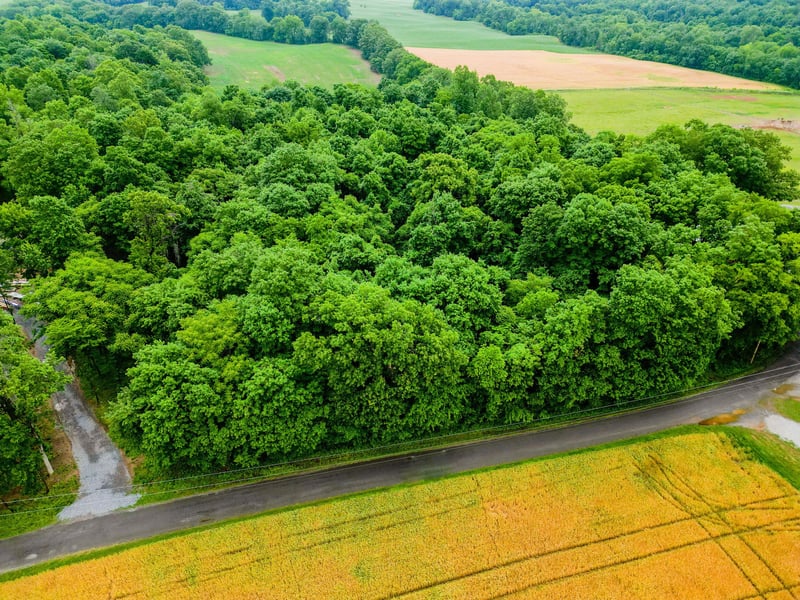 4 J Bourne Rd Lot 4, Adams, TN 37010