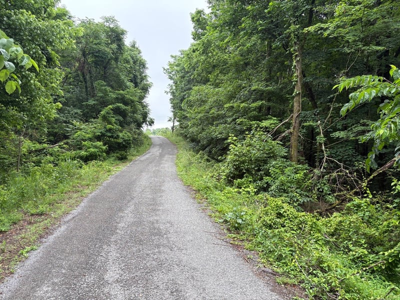 Ivy Hollow Rd, Mount Pleasant, TN 38474